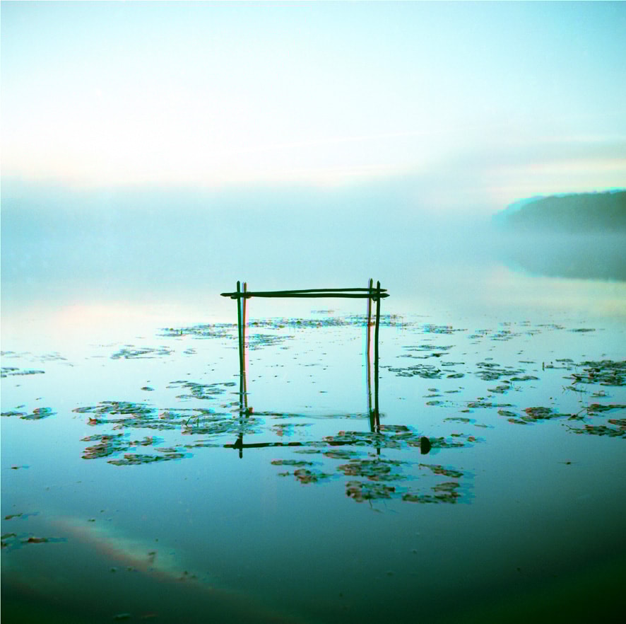 Photo of rows of books in a library with marble busts.